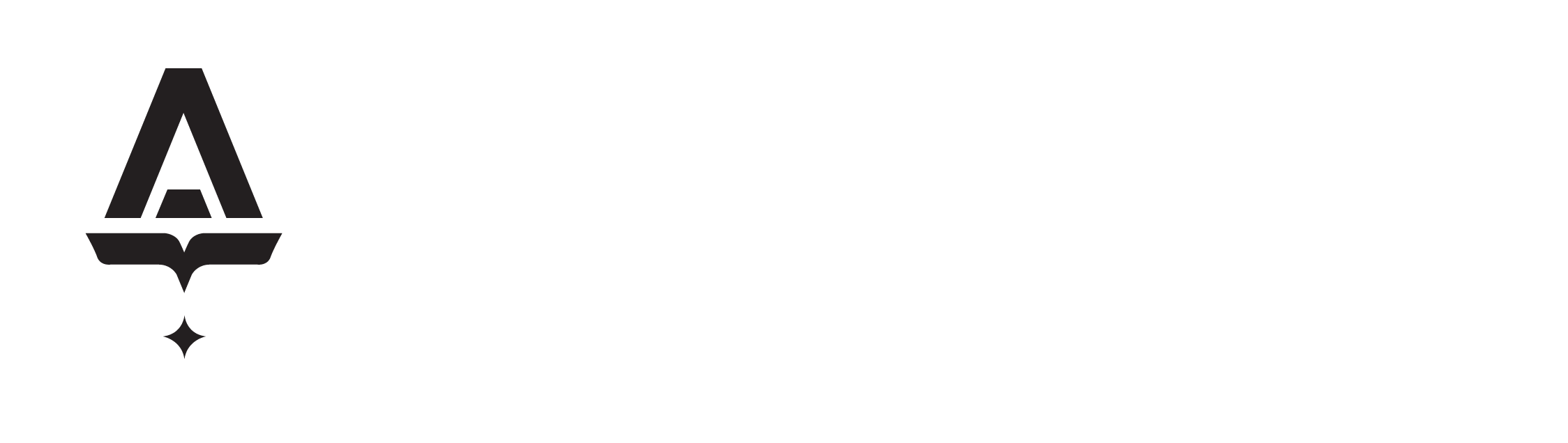 system logo